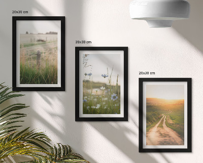 Framed triptych Nature landscapes with fields and a path in the sun
