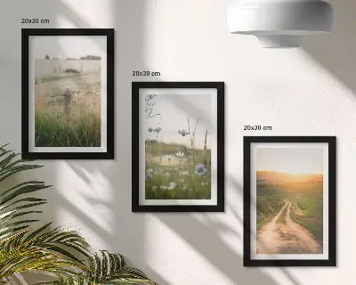 Nature landscapes triptych with fields and a sunlit path