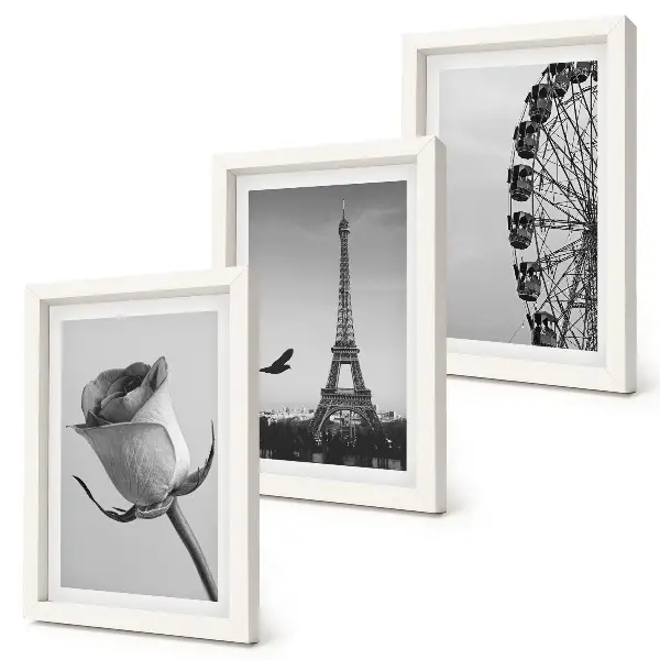 Rose Eiffel Tower and Ferris Wheel triptych in monochrome framed wall art set