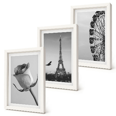 Framed triptych Rose Eiffel Tower and Ferris Wheel in Monochrome