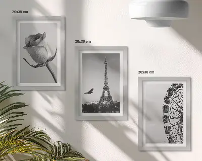 Rose Eiffel Tower and Ferris Wheel triptych in monochrome framed wall art set