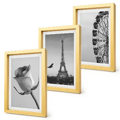 Rose Eiffel Tower and Ferris Wheel triptych in monochrome framed wall art set