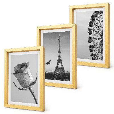 Framed triptych Rose Eiffel Tower and Ferris Wheel in Monochrome