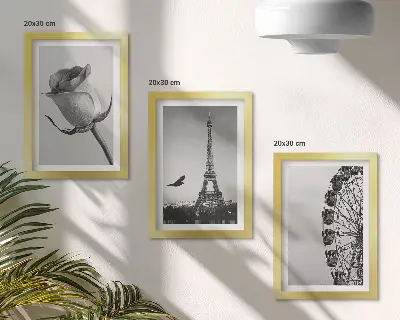 Rose Eiffel Tower and Ferris Wheel triptych in monochrome framed wall art set