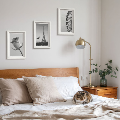Framed triptych Rose Eiffel Tower and Ferris Wheel in Monochrome