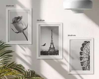 Rose Eiffel Tower and Ferris Wheel triptych in monochrome framed wall art set