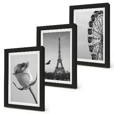 Rose Eiffel Tower and Ferris Wheel triptych in monochrome framed wall art set