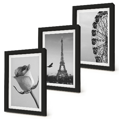 Framed triptych Rose Eiffel Tower and Ferris Wheel in Monochrome