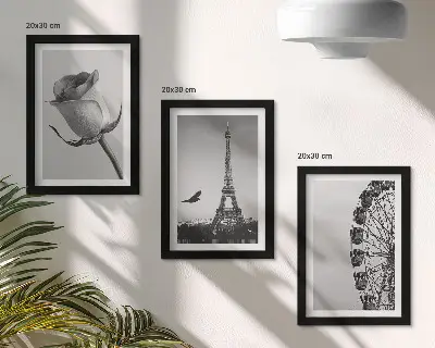 Rose Eiffel Tower and Ferris Wheel triptych in monochrome framed wall art set