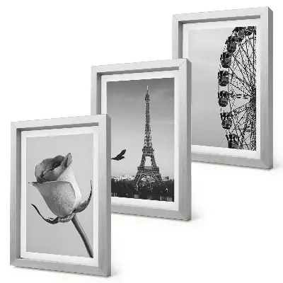 Rose Eiffel Tower and Ferris Wheel triptych in monochrome framed wall art set