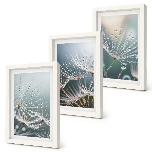 Photo frame wall drops of water on delicate dandelion shoots