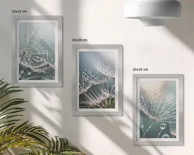 Photo frame wall drops of water on delicate dandelion shoots