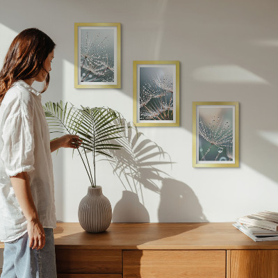 Photo frame wall Drops of water on the delicate shoots of dandelions