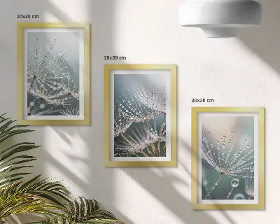 Photo frame wall drops of water on delicate dandelion shoots