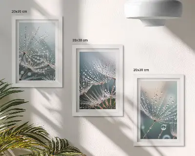 Photo frame wall drops of water on delicate dandelion shoots