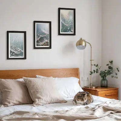 Photo frame wall drops of water on delicate dandelion shoots