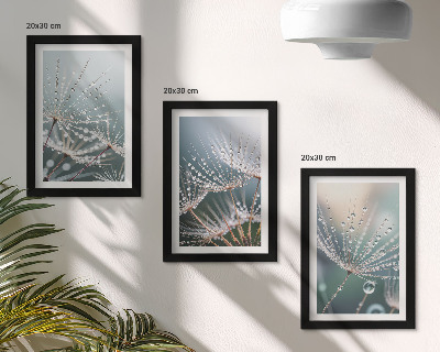 Photo frame wall Drops of water on the delicate shoots of dandelions