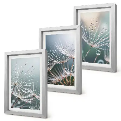 Photo frame wall drops of water on delicate dandelion shoots
