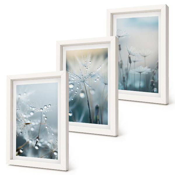 Framed triptych Dewdrops on delicate dandelions