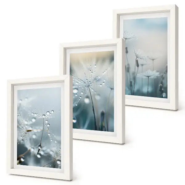 Dewdrops on delicate dandelions framed triptych