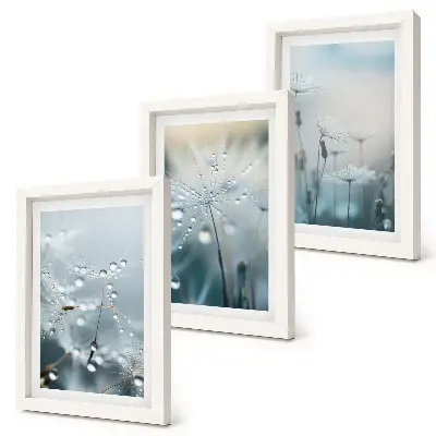 Dewdrops on delicate dandelions framed triptych