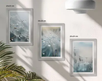Dewdrops on delicate dandelions framed triptych