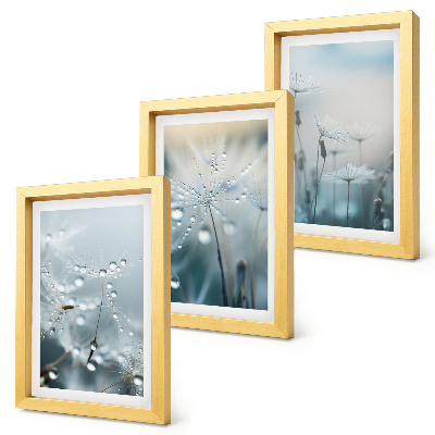 Framed triptych Dewdrops on delicate dandelions