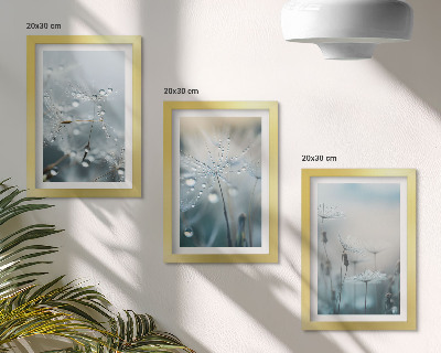 Framed triptych Dewdrops on delicate dandelions