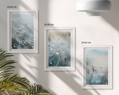 Framed triptych Dewdrops on delicate dandelions