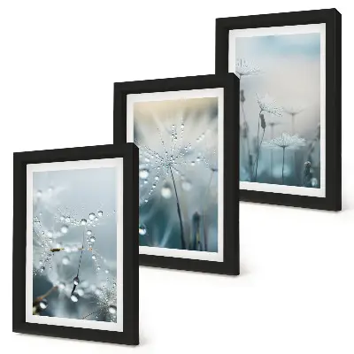 Dewdrops on delicate dandelions framed triptych