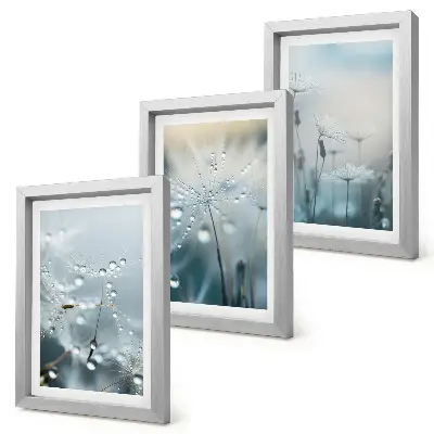 Dewdrops on delicate dandelions framed triptych