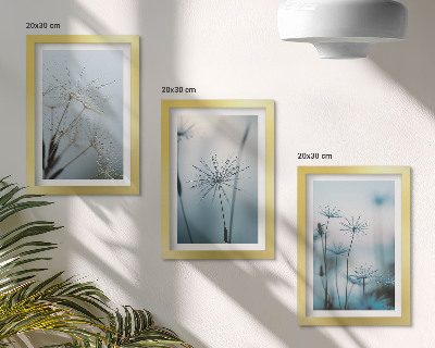 3-piece wall art set Delicate dandelions with water drops