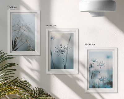 3-piece wall art set Delicate dandelions with water drops
