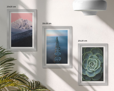 Framed triptych Mountains with pink sky, water and green succulent