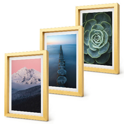 Framed triptych Mountains with pink sky, water and green succulent
