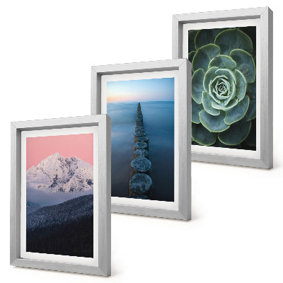 Framed triptych Mountains with pink sky, water and green succulent
