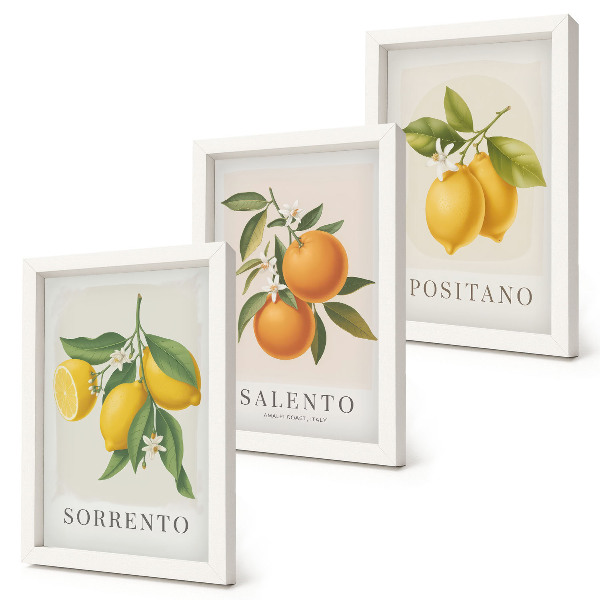 Framed triptych Lemons and oranges from Italy's Amalfi Coast