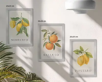 Lemons and oranges from Italy's Amalfi Coast framed triptych