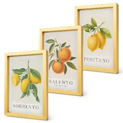 Lemons and oranges from Italy's Amalfi Coast framed triptych