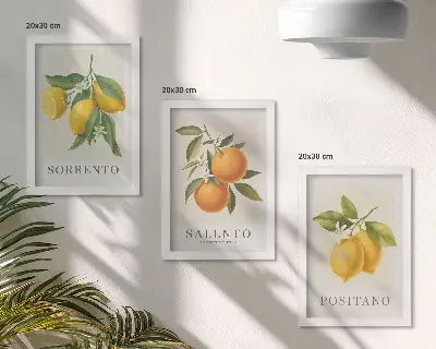 Lemons and oranges from Italy's Amalfi Coast framed triptych