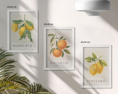 Framed triptych Lemons and oranges from Italy's Amalfi Coast