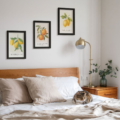 Framed triptych Lemons and oranges from Italy's Amalfi Coast