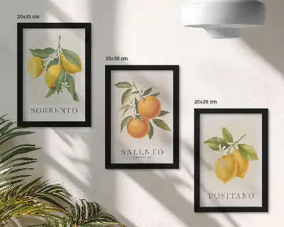 Lemons and oranges from Italy's Amalfi Coast framed triptych