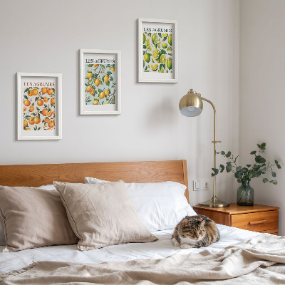 Framed triptych Fruity citrus patterns in pastel colors