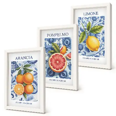 Photo frame wall with vintage citrus fruit illustrations