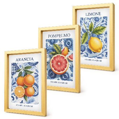 Photo frame wall Vintage citrus fruit illustrations