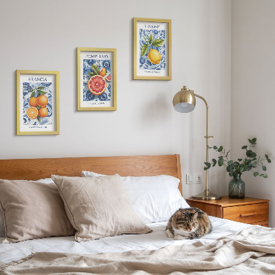 Photo frame wall Vintage citrus fruit illustrations