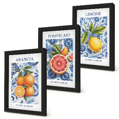 Photo frame wall Vintage citrus fruit illustrations