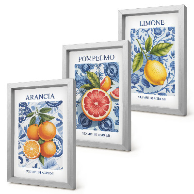 Photo frame wall Vintage citrus fruit illustrations