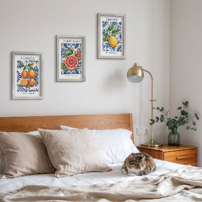 Framed triptych Italian-style citrus fruit fashion posters